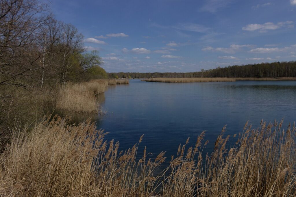 Lausitzer Fischwochen – Bautzen